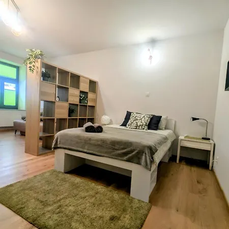 Apartamento Oliwkowy Swietoduska 12 Lublin