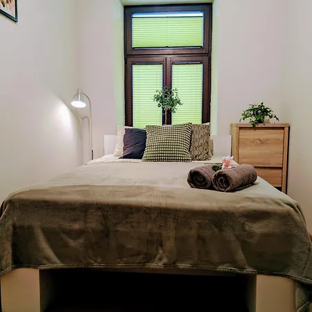 Oliwkowy Swietoduska 12