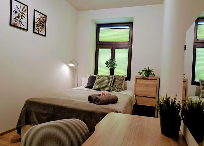 Oliwkowy Swietoduska 12 *